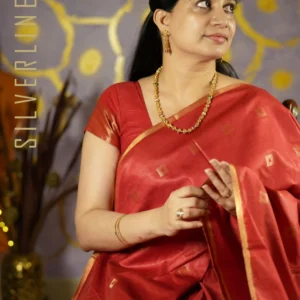 Red Silk Thread Lines w/ Silver Pallu