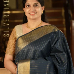 Dark Blue All Self Zari Border and Pallu Sequins