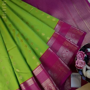 Parrot Green with Pink - A Classic Beauty with Intricately Woven Borders